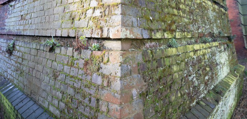 An old brick wall with some green plants growing on it.